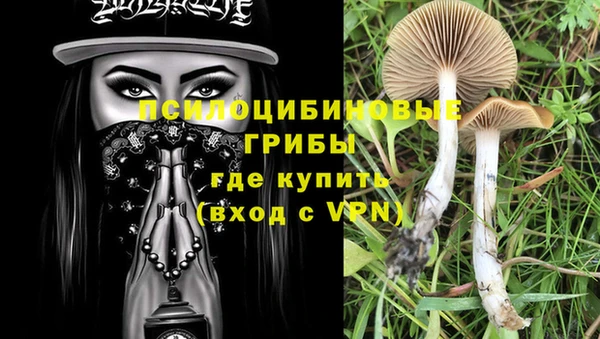 винт Нефтегорск
