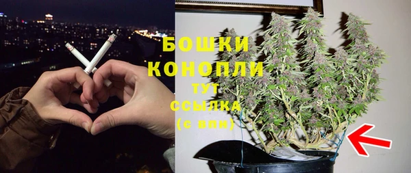 PSILOCYBIN Новодвинск