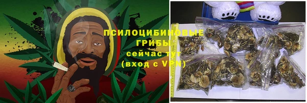 a pvp Новозыбков