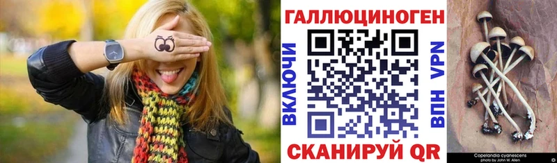 что такое   Шлиссельбург  Галлюциногенные грибы прущие грибы 
